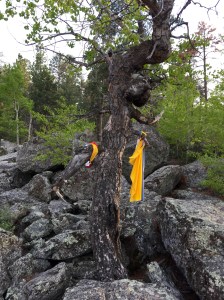 FullSizeRender - Copy (409)