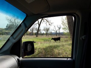 FullSizeRender - Copy (415)