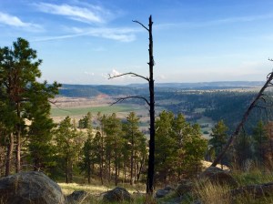 FullSizeRender - Copy (416)