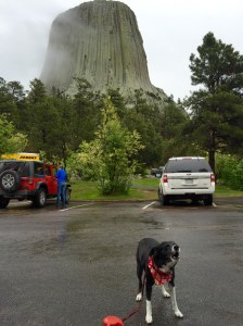 FullSizeRender - Copy (421)