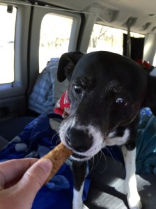 FullSizeRender (1253) - Copy