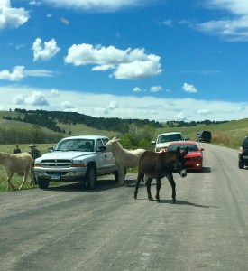 FullSizeRender (1269) - Copy