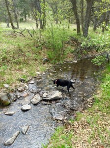 FullSizeRender (1275) - Copy