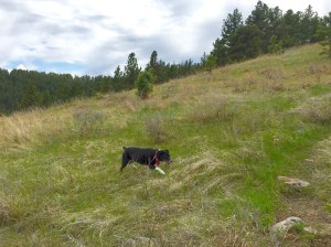 FullSizeRender (1278) - Copy