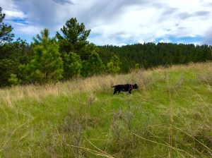 FullSizeRender (1279) - Copy