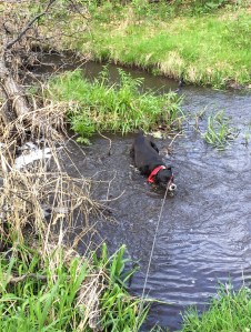 FullSizeRender (1282) - Copy