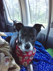 FullSizeRender (1284) - Copy