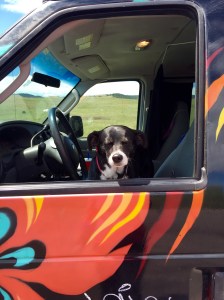 FullSizeRender - Copy (427)