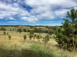 FullSizeRender - Copy (429)