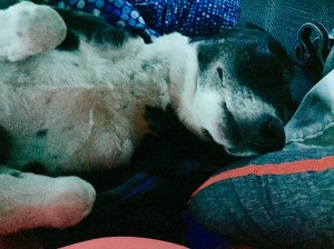 FullSizeRender - Copy (432)