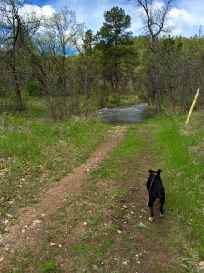 FullSizeRender (1286) - Copy