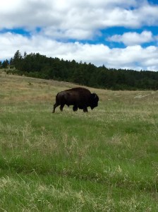 FullSizeRender (1290) - Copy