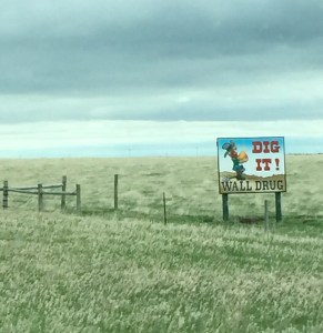 FullSizeRender (1294) - Copy