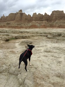 FullSizeRender (1310) - Copy