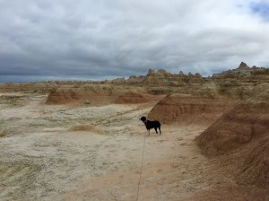 FullSizeRender (1314) - Copy