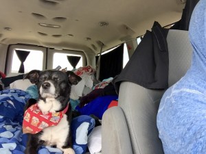 FullSizeRender - Copy (435)