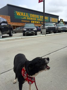 FullSizeRender - Copy (436)