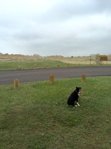 FullSizeRender - Copy (440)