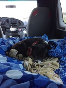 FullSizeRender (1315) - Copy