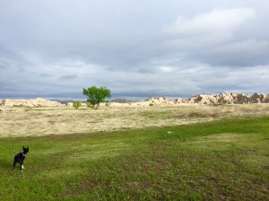 FullSizeRender (1318) - Copy