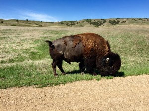 FullSizeRender (1319) - Copy