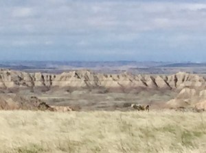 FullSizeRender (1321) - Copy