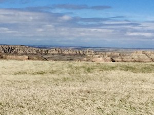 FullSizeRender (1324) - Copy