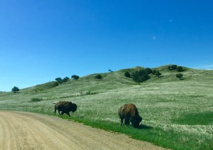 FullSizeRender (1325) - Copy