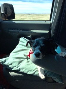 FullSizeRender (1326) - Copy