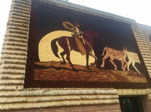 FullSizeRender (1327) - Copy