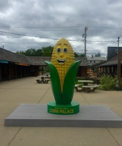 FullSizeRender (1328) - Copy