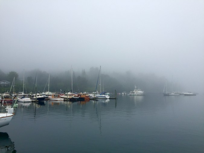 FoggyDock